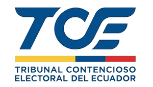 Consulta Sentencias TEC